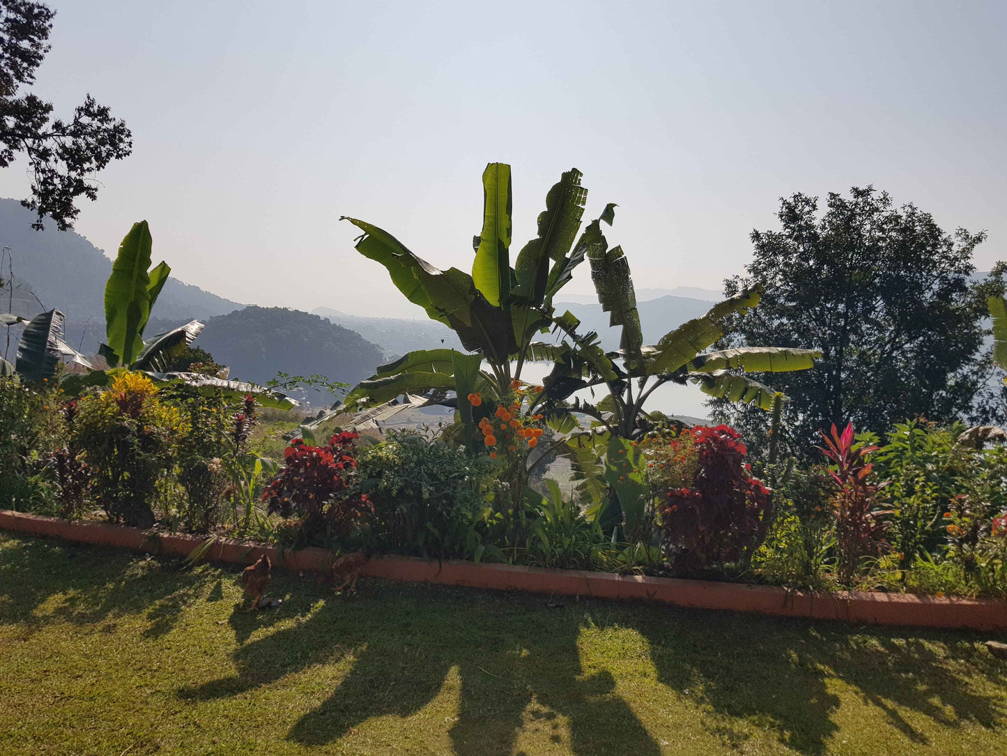 Phewa Room 2 (Standard Twin Room with Phewa Lake View) - Hidden Paradise Guest House & Retreat